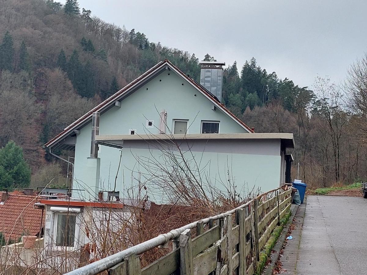 Ferienwohnung Unterm Rappenfels Hinterweidenthal Екстериор снимка